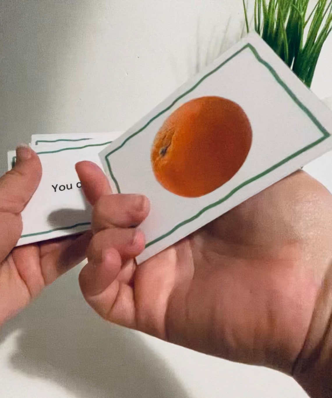 LRFFC ABA Resources Speech&language Flash Cards ABA Etsy