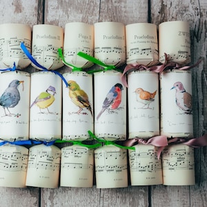 Wedding love birds crackers/ poppers ( fill your own )