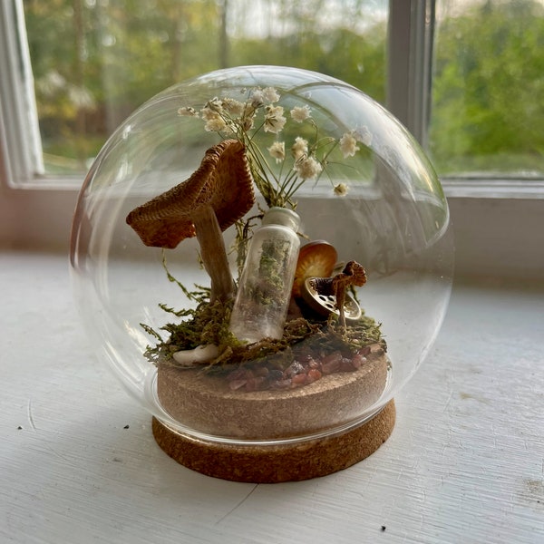 Mushroom Curiosity Glass Globe Dome ︳Antique and Vintage Inspired Decor ︳Hostess and Housewarming Gifts Under 50 ︳Wrapped Oddities