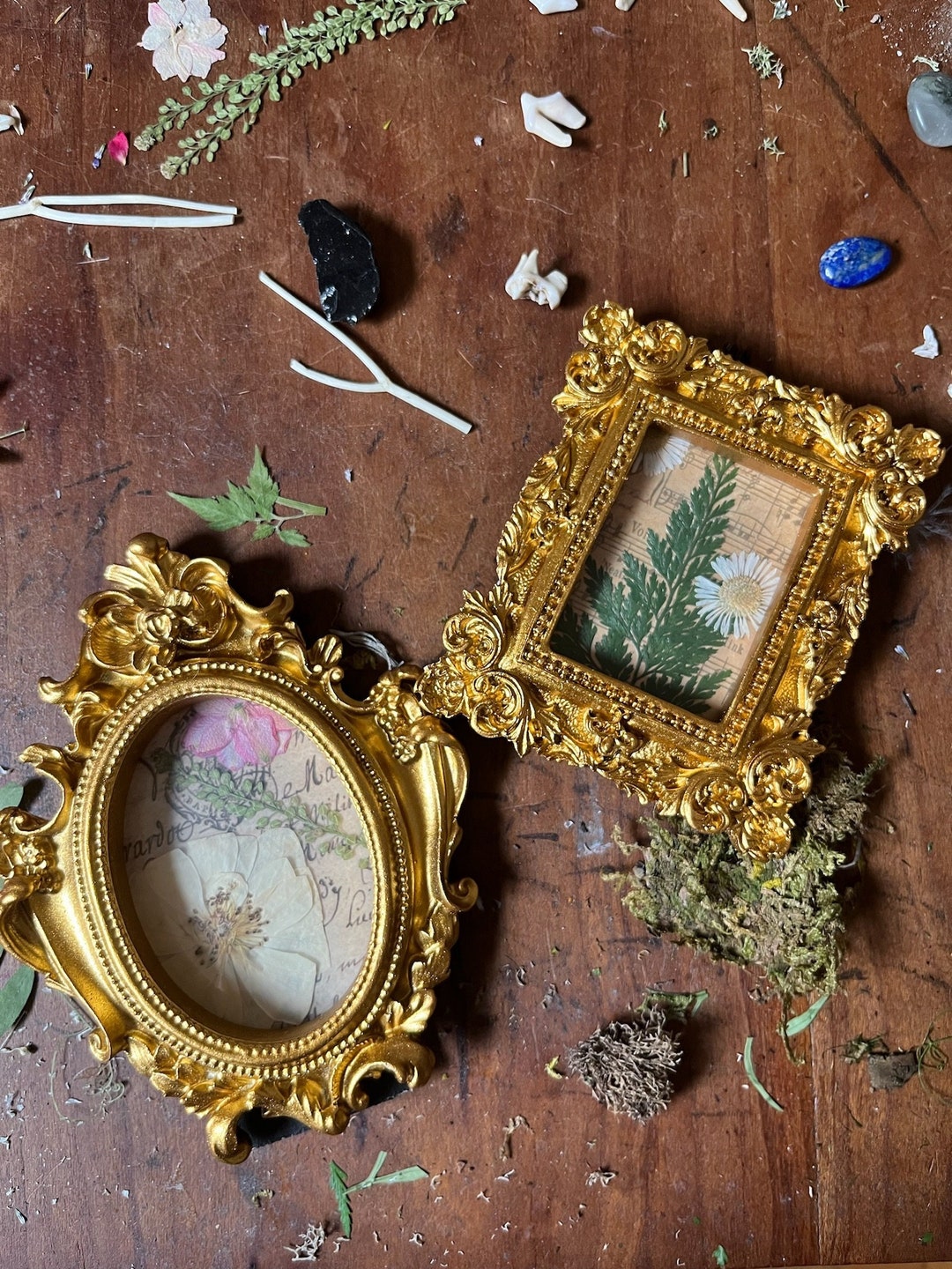 Antique Inspired Floral Frames frame Set of 2 dark Academia Home Decor ...