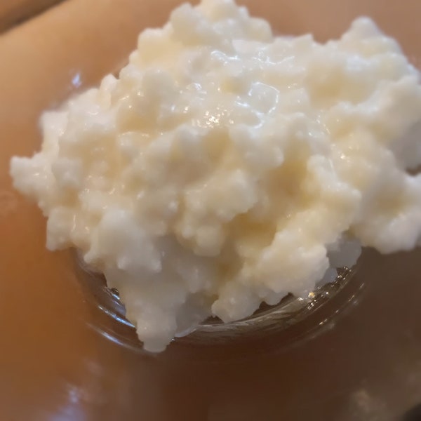 LIVE Raw (grass-fed)milk kefir grains, 1 tablespoon