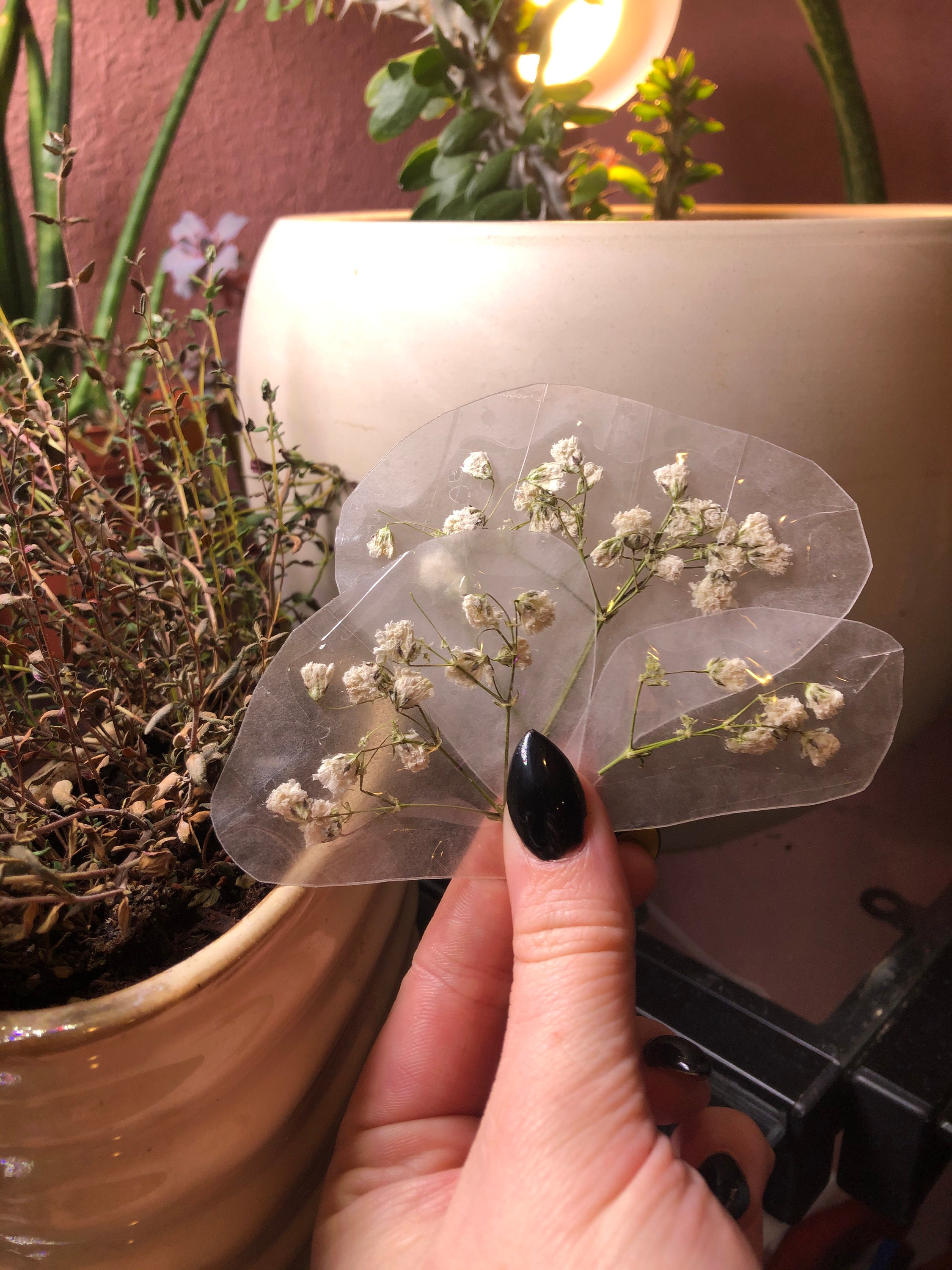 Babys Breath Pressed Flower Stickers Etsy
