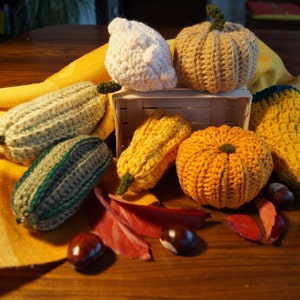 Può includere: Una collezione di zucche e zucche all'uncinetto in vari colori, tra cui verde, bianco, arancione e marrone. Le zucche e le zucche sono disposte su un tavolo di legno con foglie autunnali e ghiande.