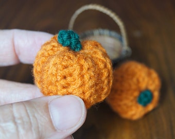 Miniature pumpkin