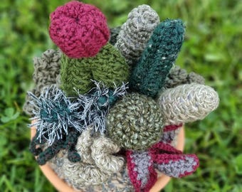 Cactus tejidos a crochet