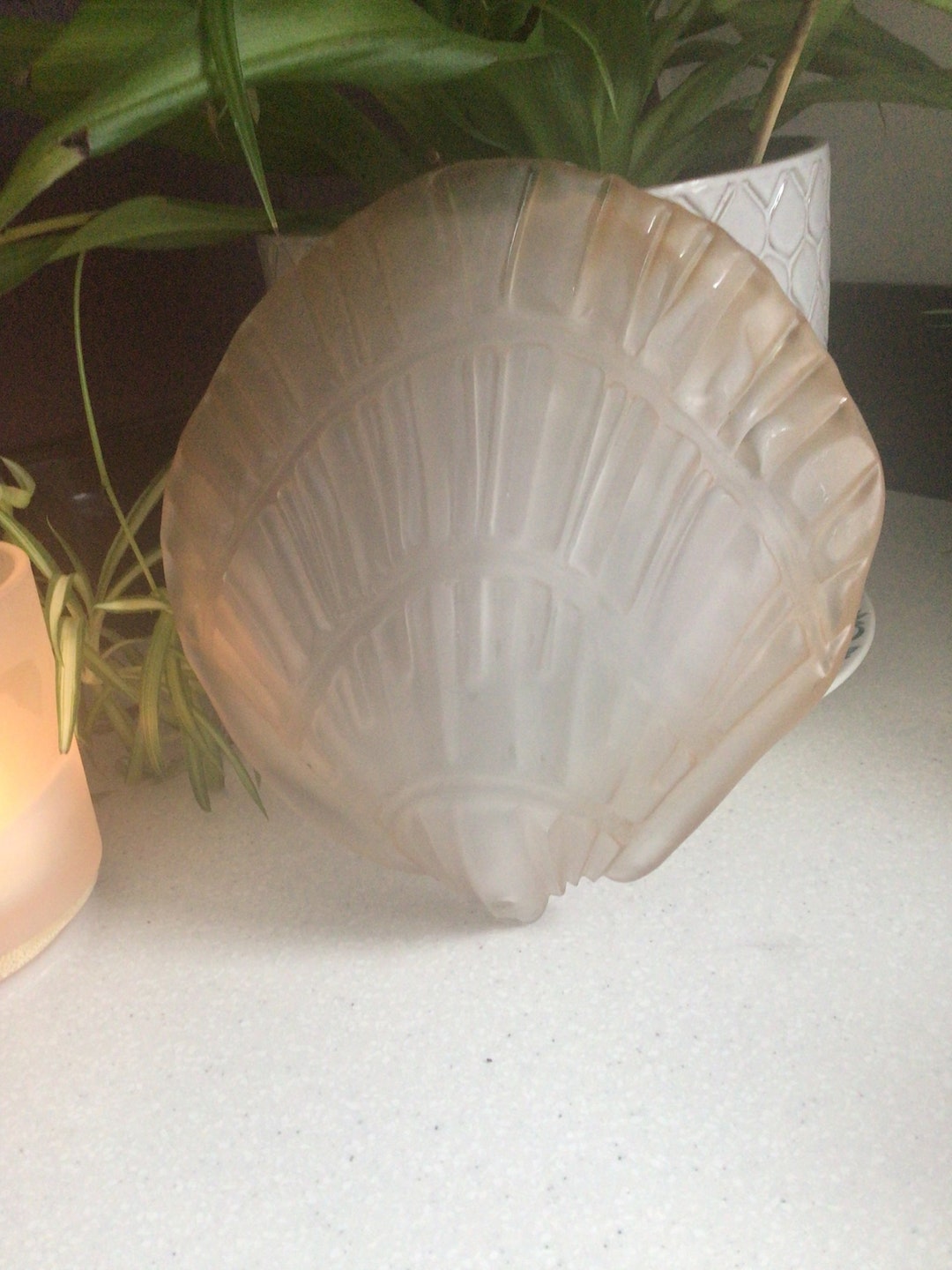 Pink Vintage Glass Shell Light Old Stock Unused Shade a Hole to Attach ...