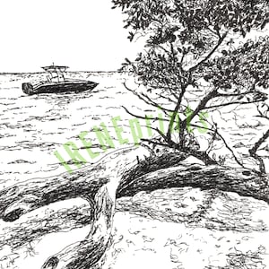 11x14 Colombian Oceanview Sketch Print