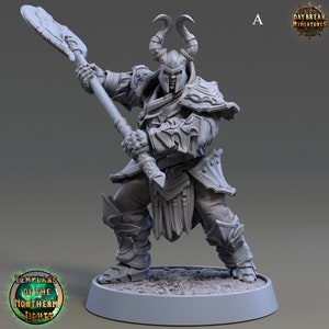 Paladin Miniatures -  Daybreak Miniatures | Viking Heavy Infantry Models | Dungeons and Dragons | DnD | Wargaming