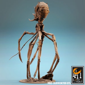 May include: A 3D printed model of a skeletal, multi-legged creature with a curled head. The model is brown and is posed standing on a circular base. The text "PRE-SUPPORTED STL" is visible at the bottom of the image.