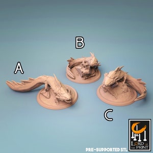 Sea Creature Miniatures - Lord of the Print | Armoured Lizard Models | Salamander | Dungeons and Dragons | DnD | Wargaming | Dunxolotl
