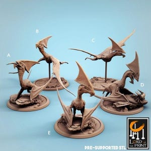 Puede incluir: Cinco figuras en miniatura de pterosaurios de color marrón claro etiquetadas de la A a la E, cada una montada sobre una base circular. Las figuras presentan alas detalladas, crestas y cuerpos texturizados. Un logo en la esquina inferior derecha dice Lord of the Print Pre-Supported STL.
