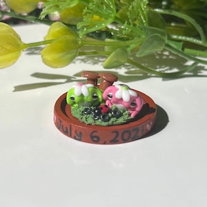 Anniversary gift- frog terrarium- handmade polymer clay figurine- CUSTOMIZABLE