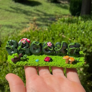 May include: A handcrafted, green-colored nameplate that reads "BROOKE" in stylized letters, adorned with vines, flowers, and miniature garden elements like mushrooms, a ladybug, and a frog. The nameplate is set on a green, grassy base.