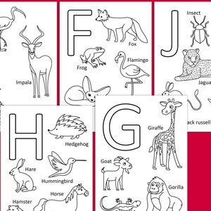 Animal Alphabet Cards, Preschool Printables Alphabet, Homeschool ...