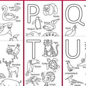 Animal Alphabet Cards, Preschool Printables Alphabet, Homeschool ...