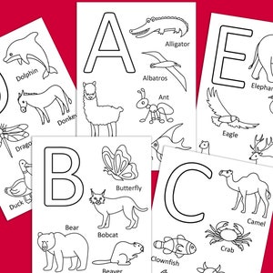 Animal Alphabet Cards, Preschool Printables Alphabet, Homeschool ...