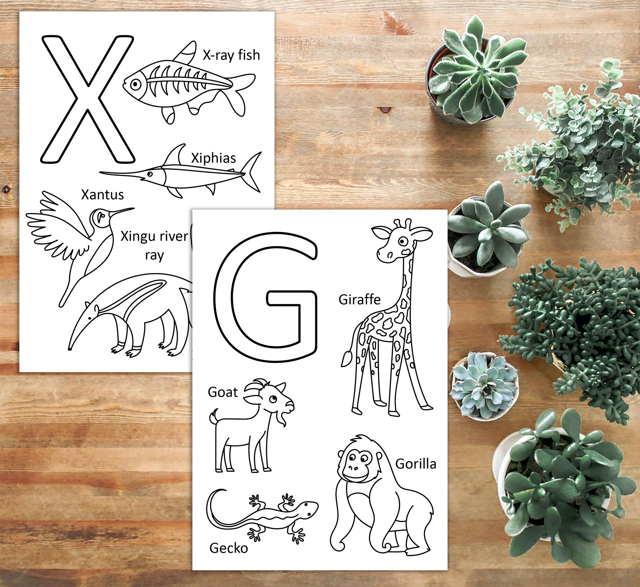 Animal Alphabet Cards, Preschool Printables Alphabet, Homeschool ...