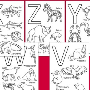 Animal Alphabet Cards, Preschool Printables Alphabet, Homeschool ...