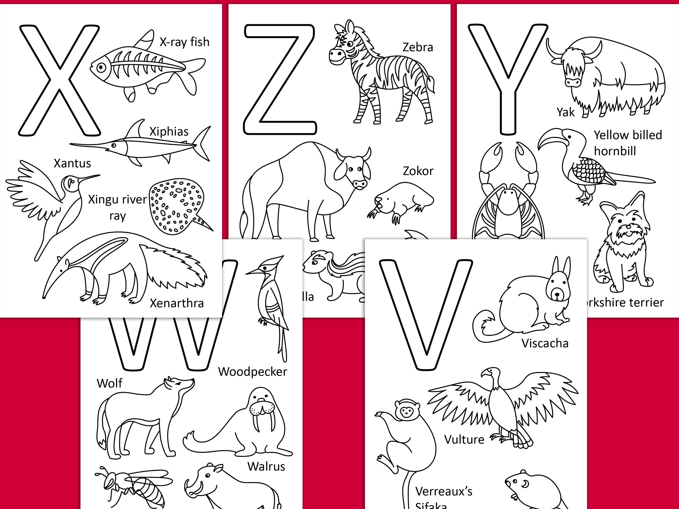 alphabet coloring pages for kids animal coloring book etsy