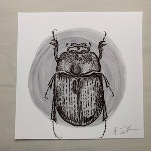 Scarab Beetle Wall Art Print | Insect Illustration |  Scientific Nature Illustration | Dark Academia Gothic Nature Art