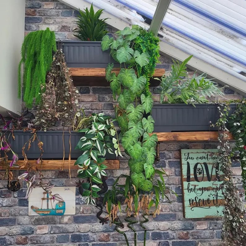 A brick wall with dark oak wooden shelves holding potted plants. The plants are in black planters and include a variety of greenery, such as ferns, succulents, and vines. A wooden sign with the text "You can't buy LOVE but you can rescue it" is hanging on the wall.