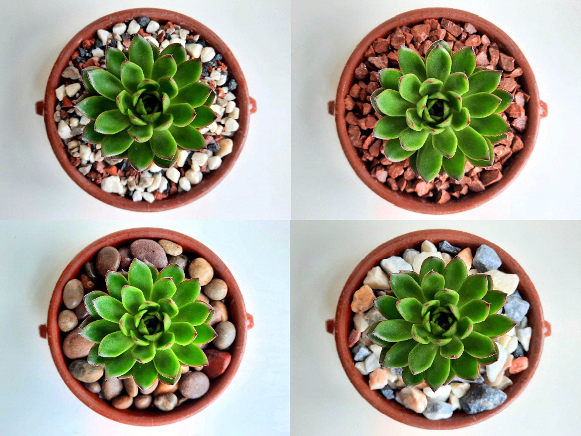 Decorative Stones. Pebbles & Chippings. Marble Pot Topper Etsy