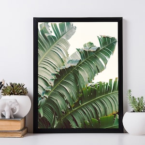 Stampa artistica da parete con foglie di banano. Poster con foglie verdi. Arredamento per la casa.
