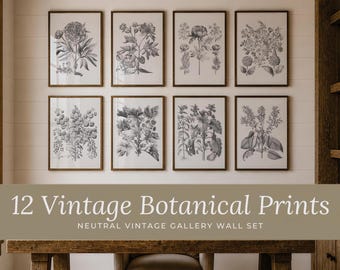 植物画12枚セット ヴィンテージウォールアートギャラリー 白黒の花のイラスト アンティーク植物画 壁飾り 印刷可能なアート 251006