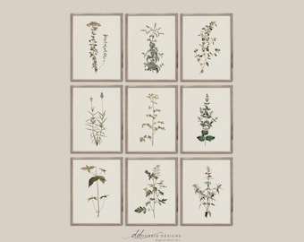 Juego de 9 láminas de arte botánico vintage para pared, estilo galería, en tonos neutros. Decoración botánica antigua, herbario, arte imprimible 260111