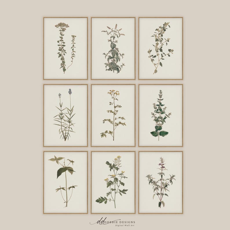 Vintage Botanical Wall Art Set of 9 Neutral Gallery Wall Prints Antique ...
