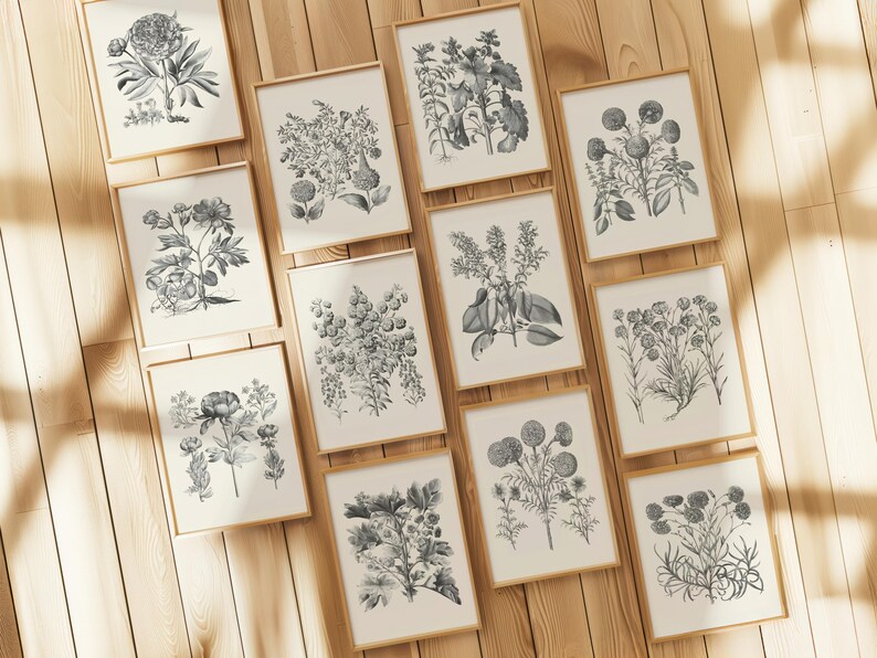 Set of 12 Botanical Prints Vintage Wall Art Gallery Black and White ...
