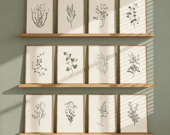 Botanical Print Set of 12 Antique Floral Gallery Wall Art Cottagecore Decor Vintage Neutral Wall Art for Kitchen Dining Room 251025