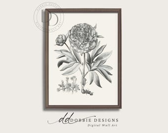 Antike botanische Wanddekor-Weinlese-Schwarzweiss-Blumen-Illustrationen Schwarzes Blumen-botanische druckbare klassische Blumenzeichnung 251006-1