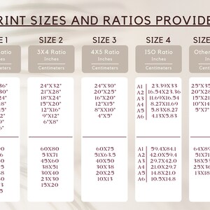 Washington DC State Flower Print, DC Flower Market Print, Rose Print