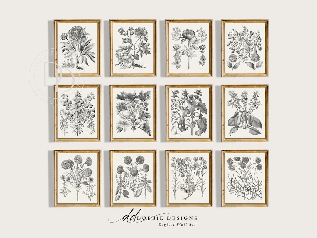 Set of 12 Botanical Prints Vintage Wall Art Gallery Black and White ...
