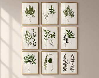 Vintage Fern Print Set Botanical Gallery Wall Art Digital Download 251004