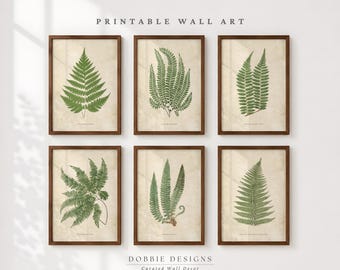 Vintage Fern Print Set of 6 Vintage Botanical Wall Art Prints Neutral Botanical Farmhouse Gallery Wall Set Illustrative Artwork 241062