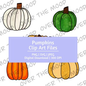 Kürbis Clip Art Bundle Herbst Digitale Downloads Kürbisse Thanksgiving Dekor Grafiken Herbst Sublimation Clip Art Illustrationen Herbst