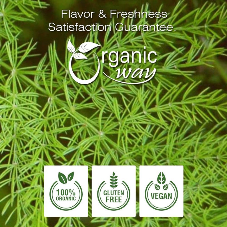 Organic Way Shatavari Powder - Organic, Kosher, USDA Certified | Raw, Vegan, Non GMO, Gluten Free | Origin - India bild 8