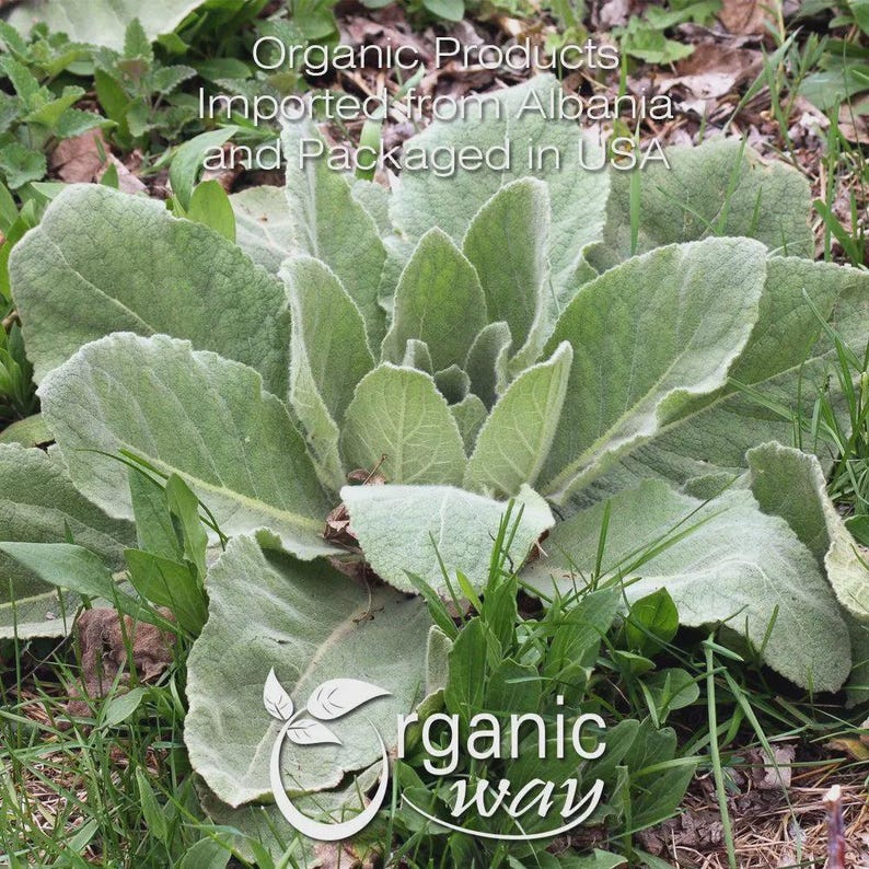 Organic Way Mullein Leaf Powder - European Wild-Harvest | Organic, Kosher, USDA Certified | Vegan, Non GMO, Gluten Free | Origin - Albania image 8