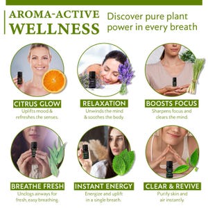 100% Pure Essential Oil Gift Set of 6 | Origin India (10ml each) image 2