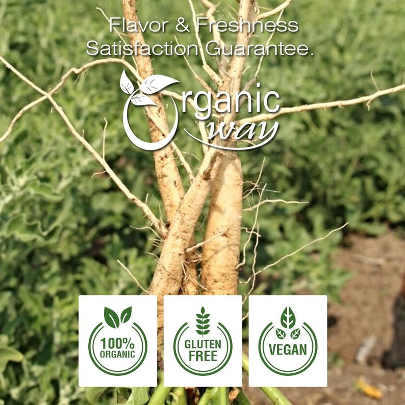 Organic Way Ashwagandha Root Powder - Organic, Kosher, USDA Certified | Raw, Vegan, Non GMO, Gluten Free | Origin - India bild 4