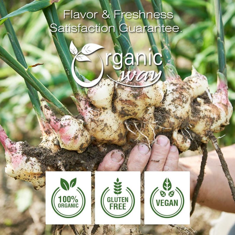 May include: Close-up of fresh ginger root with green leaves. The ginger is labeled "organic way" and has a green and white logo with the text "100% organic", "gluten free", and "vegan".