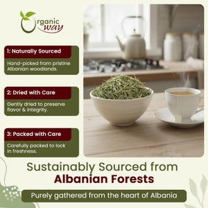 Organic Way Horsetail Herb Cut & Sifted (equisetum Arvense) - Herbal ...