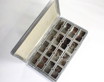 Puede incluir: Un estuche de visor de diapositivas de metal vintage, abierto para revelar una cuadrícula de pequeños compartimentos rectangulares, cada uno con una diapositiva. El estuche tiene un acabado plateado y el interior de la tapa está forrado con un material beige.