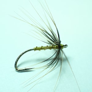 Pode incluir: Uma isca de pesca com mosca apresentando um anzol de metal prateado com haste curva. O corpo é envolto em fio verde-oliva com textura canelada. Penas hackle longas, finas e esvoaçantes nas cores marrom e preta estendem-se do olho do anzol.