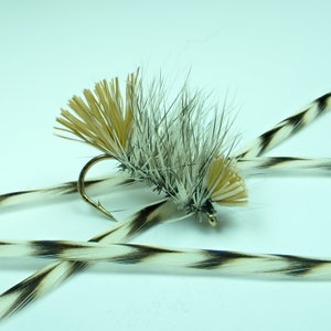 Dyret Hackle Hog Grizzly barbed fishing fly.