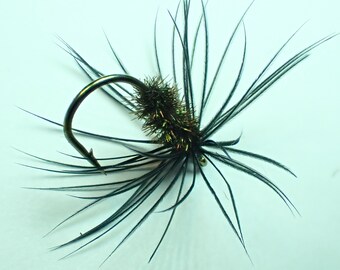 Black And Peacock Spider, Barbed North Country Spider, soft hackle