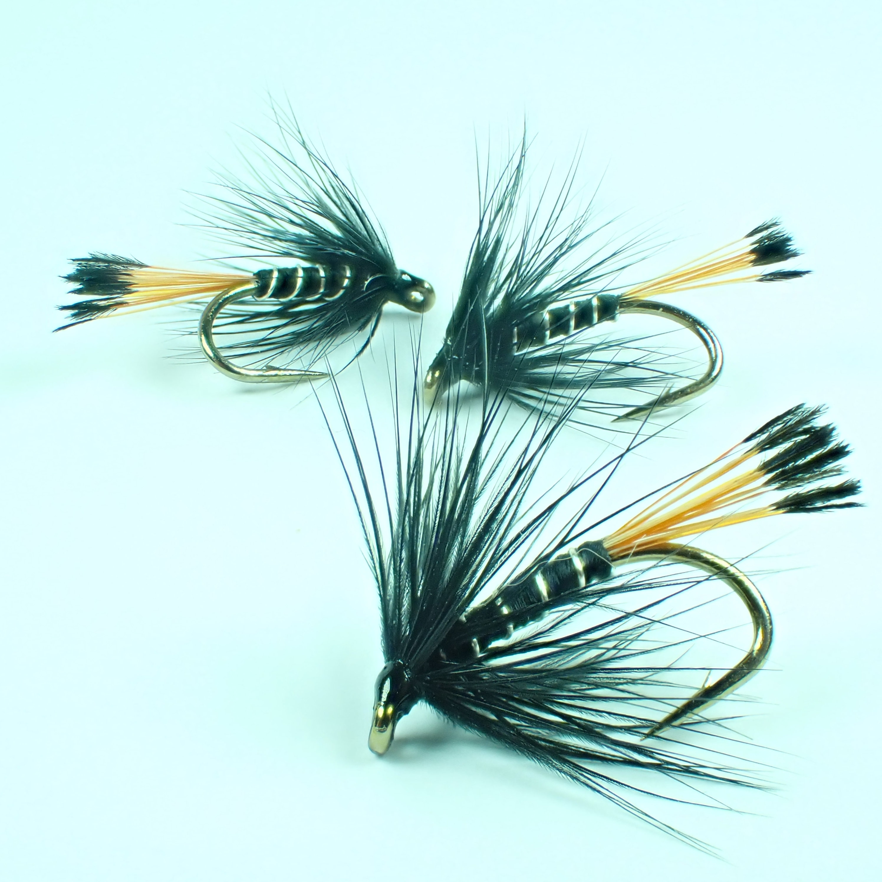 Best Shopping Deals Online Thousands of Products 3 Black Pennell Wet