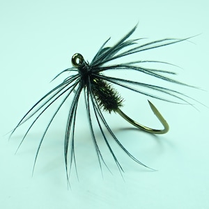 Black And Peacock Spider, Barbed North Country Spider, soft hackle fishing fly, for trout and other species. A great gift for fly anglers.